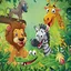Jungle