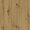 Dąb Artisan