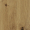 Dąb Artisan