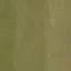 Zielony