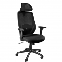 Fotel obrotowy ergonomiczny CHESTER Podstawowe