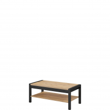 Ława do salonu 24TWLK99 TYP-99 AKTIV Podstawowe