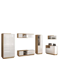 Zestaw mebli do salonu 2 HYBRID Podstawowe (1)