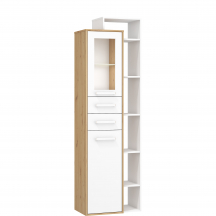 Witryna Prawa P1D2S RIO-29 RIO Podstawowe (2)