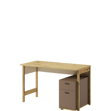 Biurko 2S LY-04 LENNY Podstawowe