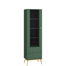 Witryna 01 FOREST Podstawowe