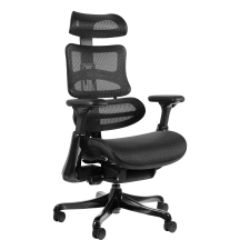 Fotel obrotowy ergonomiczny ERGOTHRONE BLACK GUN Podstawowe