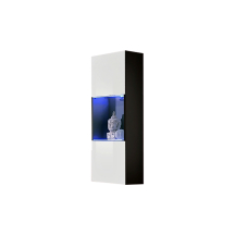 Witryna wisząca FY 22 z oświetleniem Czarny / Biały Połysk FLY CZARNY / BIAŁY POŁYSK Podstawowe