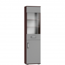 Witryna IR - W1 IRL Podstawowe