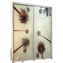 Szafa 155 z grafiką LOS ANGELES 2 PENELOPA Podstawowe