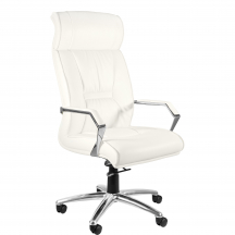 Fotel obrotowy gabinetowy CELIO Podstawowe (1)