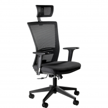 Fotel obrotowy ergonomiczny ERGONIC Podstawowe