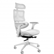 Fotel obrotowy ergonomiczny ERGOTECH NYLON WHITE Podstawowe