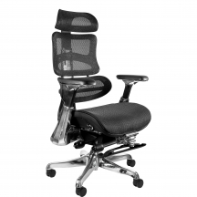 Fotel obrotowy ergonomiczny ERGOTHRONE Z PODNÓŻKIEM Podstawowe (1)