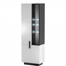 Witryna TYP 5 TISAU Podstawowe