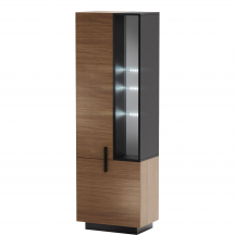 Witryna TYP 5 TISAU Podstawowe