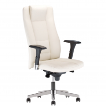 Fotel obrotowy gabinetowe INVITUS ST44-POL Podstawowe (1)