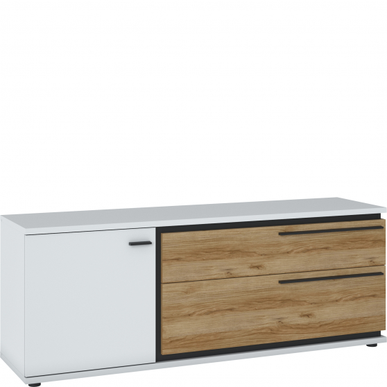 RTV 1D2S SAIF01 SALINAS Podstawowe