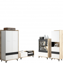 Zestaw mebli do salonu 5 BOX Podstawowe (2)
