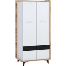 Szafa 2D BOX-10 BOX Podstawowe (1)