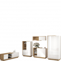 Zestaw mebli do salonu 5 HYBRID Podstawowe (1)