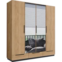 Szafa 203 z lustrem C3A Podstawowe (2)