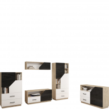 Zestaw mebli do salonu 1 PAX Podstawowe (1)