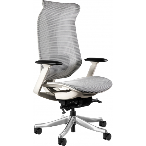 Fotel obrotowy ergonomiczny FOCUS Podstawowe