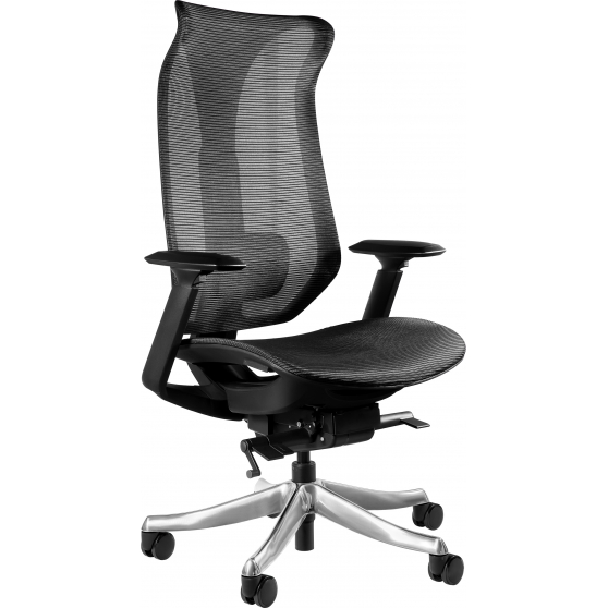 Fotel obrotowy ergonomiczny FOCUS Podstawowe
