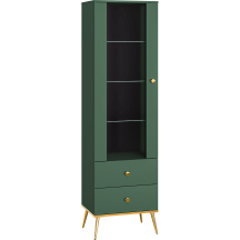 Witryna 01 FOREST Podstawowe