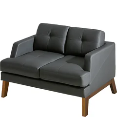 Sofa 2-osobowa 2 CARLO Podstawowe