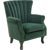 Fotel wypoczynkowy TITAN Ciemny Zielony Podstawowe