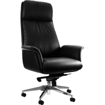 Fotel obrotowy gabinetowy APUS Podstawowe