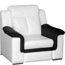 Fotel 1 LUNA Podstawowe