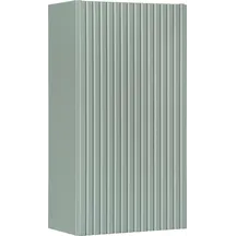 Szafka łazienkowa wisząca z drzwiami D 83-30-1D LINE REED GREEN Podstawowe