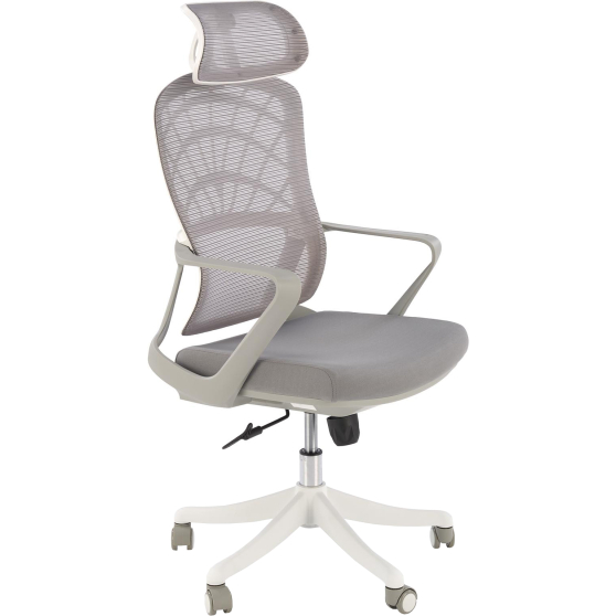 Fotel obrotowy gabinetowy VESUVIO 2 Popiel / Biały Podstawowe