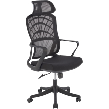 Fotel obrotowy gabinetowy VESUVIO Podstawowe