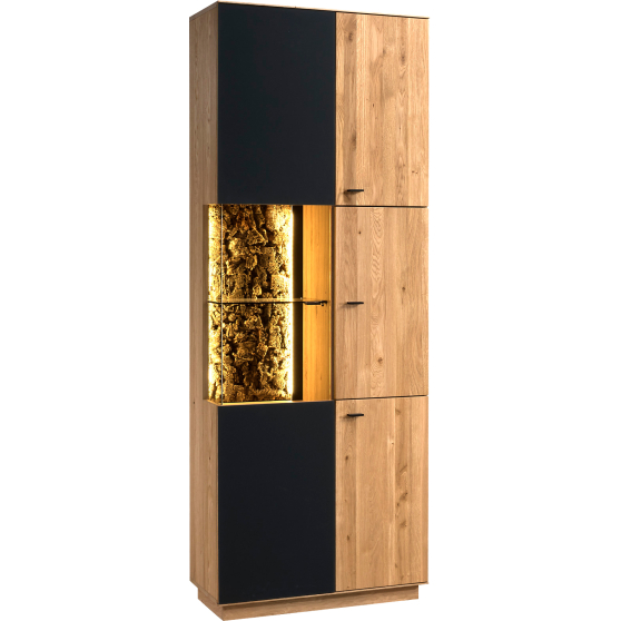 Witryna z oświetleniem COR.031.03.L Lakier CORENA LAKIER Podstawowe