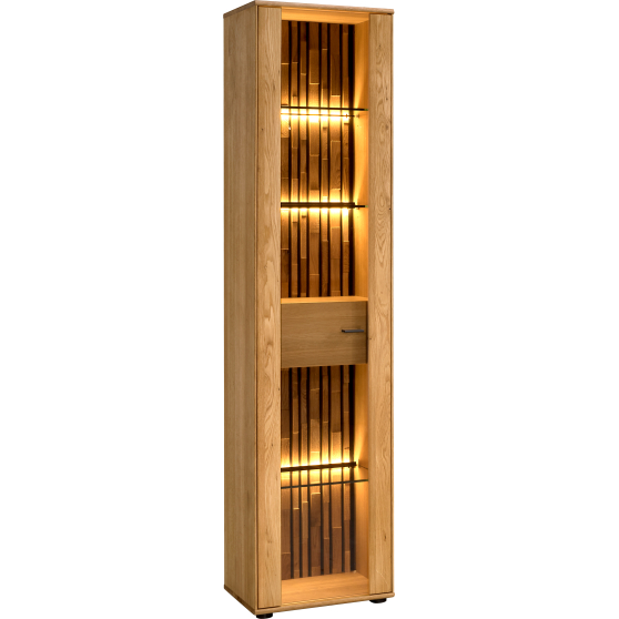 Witryna z oświetleniem Lewa Typ 10 TRAMONTO Podstawowe