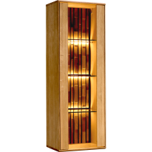 Witryna wisząca z oświetleniem Typ 14 TRAMONTO Podstawowe