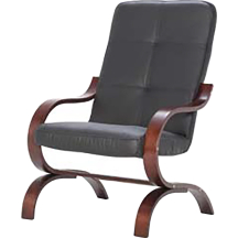 Fotel finka RICO Podstawowe