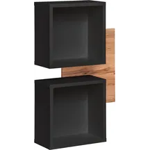Panel ścienny z dwoma półkami TYP 04 Czarny / Dąb Wotan EASY CZARNY Podstawowe