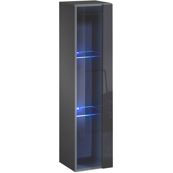 Witryna wisząca wysoka WW 2 z oświetleniem Grafit Mat / Grafit Połysk SWITCH GRAFIT Podstawowe