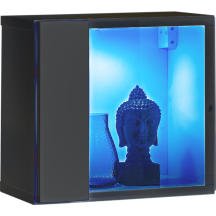 Witryna wisząca WW 5 z oświetleniem Grafit Mat / Grafit Połysk SWITCH GRAFIT Podstawowe