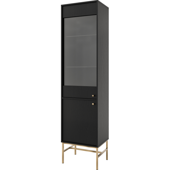 Witryna 101 2F Czarny Grafit TOKYO 3 Podstawowe