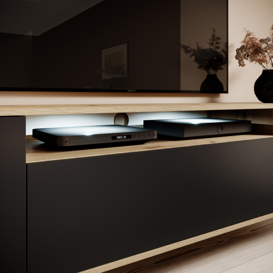 Oświetlenie LED do szafek RTV AGNES 2-punktowe Zimne Podstawowe (1)