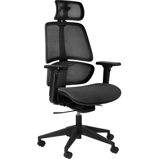 Fotel obrotowy ergonomiczny ERGO z zagłówkiem Podstawowe (1)