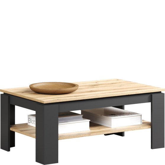 Ława do salonu z półką 110 cm Grafit / Dąb Evok ESTEBAN Podstawowe