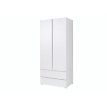 Szafa 2-drzwiowa C02 COSMO Podstawowe (1)