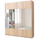 Kolor: Szafa z lustrem VARIO Podstawowe (3)